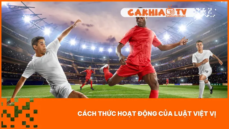 Để hiểu rõ hơn về Luật Việt Vị, bạn cần nắm vững một số nguyên tắc cơ bản