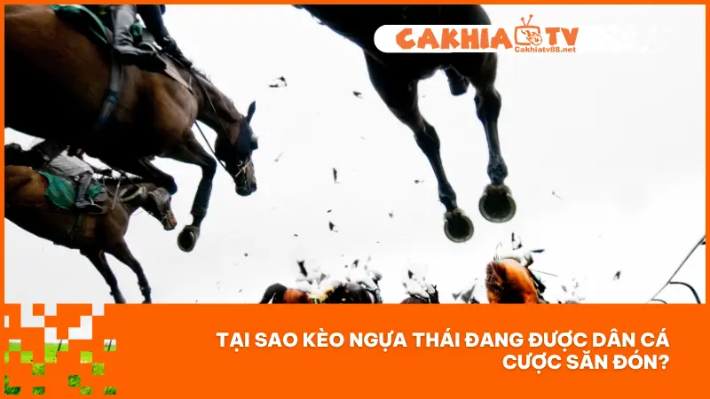 Một số lý do tại sao kèo Ngựa Thái lại thu hút người chơi cá cược